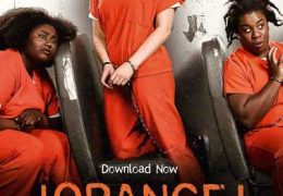 [18+] Orange Is the New Black (Season 1) Complete [ In Hindi + English ] Dual Audio | BRRip 480p & 720p